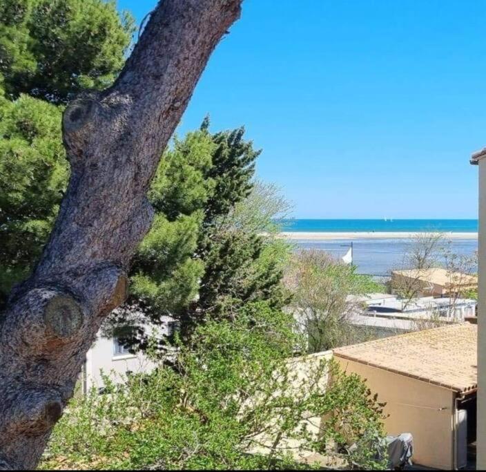 Apartment Le Formentor *